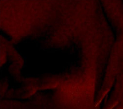 关上灯自慰2 avi