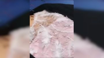 女主播在游乐园吃着撸串玩露出反正我看着也是直接撸