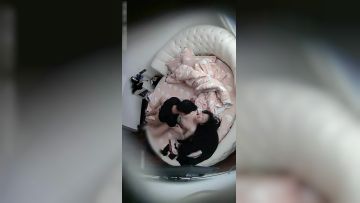 白嫩大学美女被男友扑倒扯掉裤子强行啪啪干太久受不了