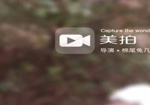 提督猫-公园野外露出1